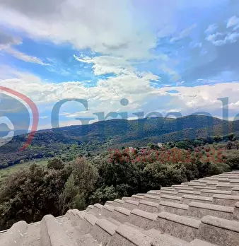 Foto annuncio 29
