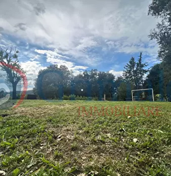 Foto annuncio 41