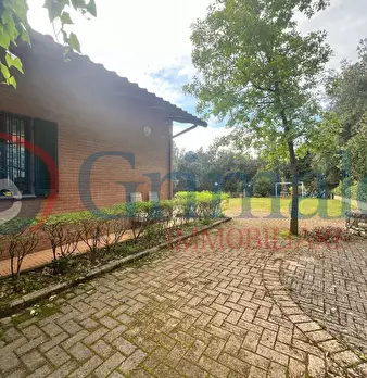 Foto annuncio 38