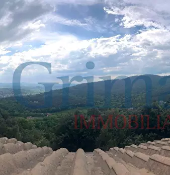 Foto annuncio 28