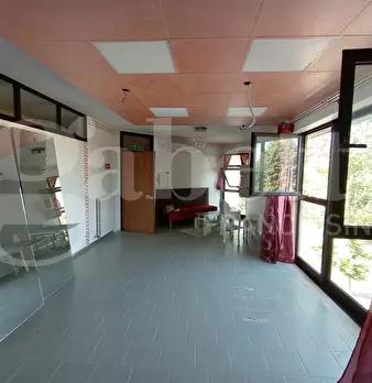 Foto annuncio 10