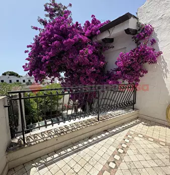 Foto annuncio 33