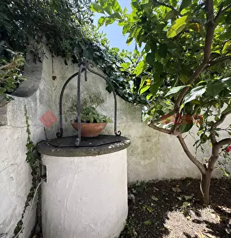 Foto annuncio 45