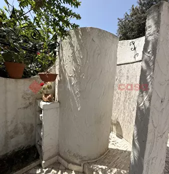 Foto annuncio 46