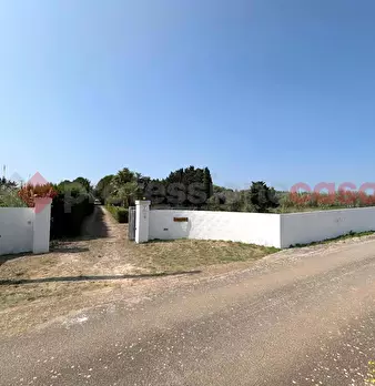 Foto annuncio 32