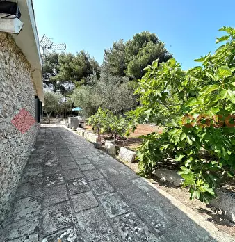 Foto annuncio 28