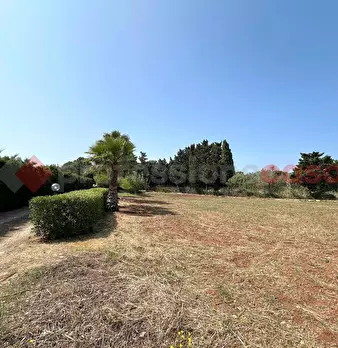 Foto annuncio 31