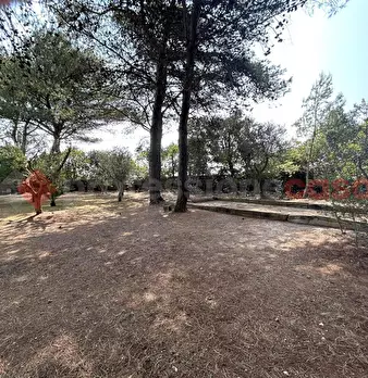 Foto annuncio 24