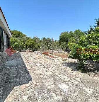Foto annuncio 27