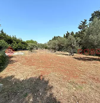 Foto annuncio 30