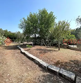 Foto annuncio 29