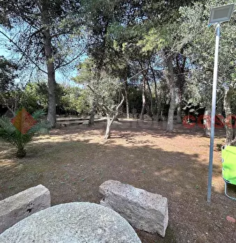 Foto annuncio 23