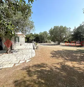 Foto annuncio 26