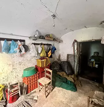 Foto annuncio 11