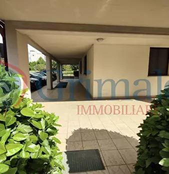 Foto annuncio 11