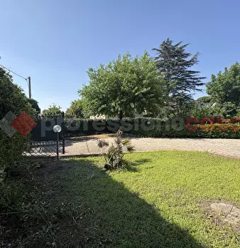 Foto annuncio 12