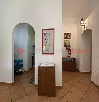 Foto annuncio 43