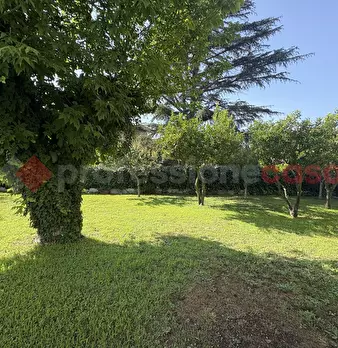 Foto annuncio 23