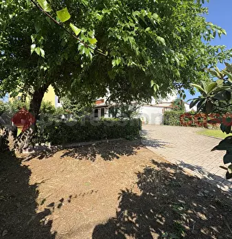 Foto annuncio 17