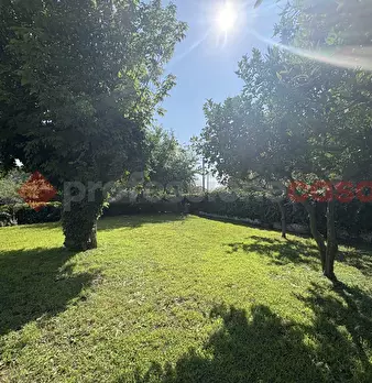 Foto annuncio 26