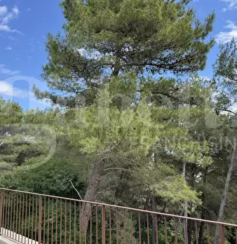 Foto annuncio 34