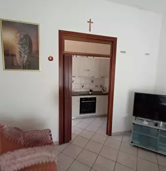 Foto annuncio 7