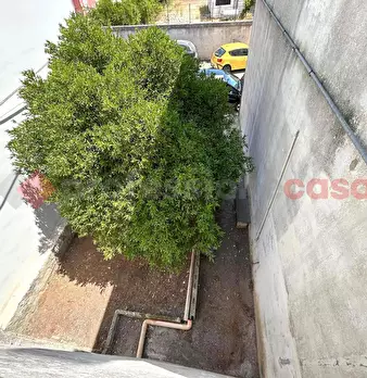 Foto annuncio 22