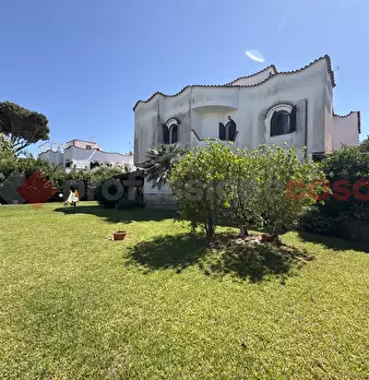 Foto annuncio 39