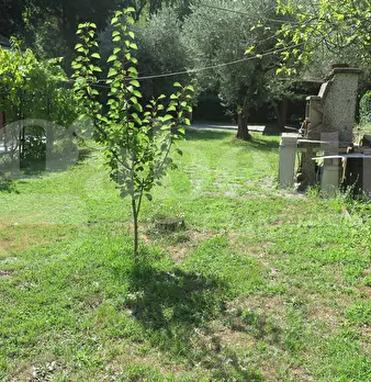 Foto annuncio 29