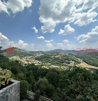 Foto annuncio 20