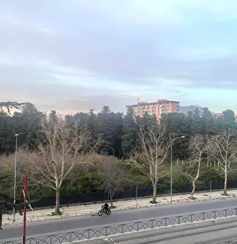 Foto annuncio 9