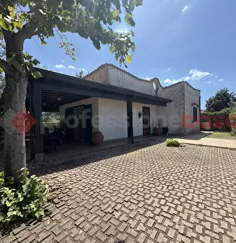 Foto annuncio 2