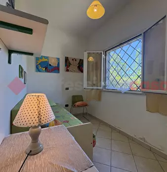 Foto annuncio 39