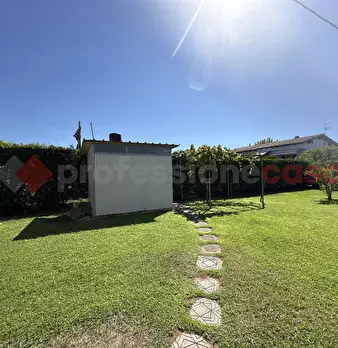 Foto annuncio 13