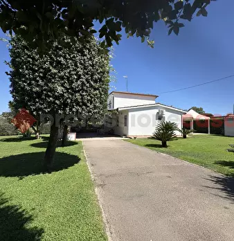 Foto annuncio 50