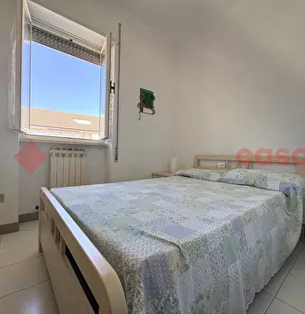 Foto annuncio 12