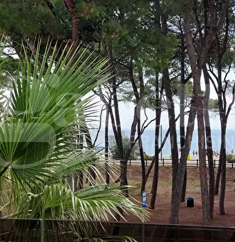 Foto annuncio 4