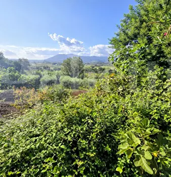 Foto annuncio 12