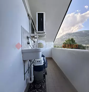 Foto annuncio 44