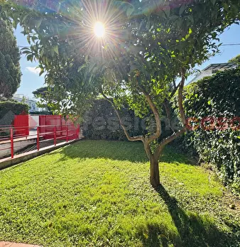 Foto annuncio 41