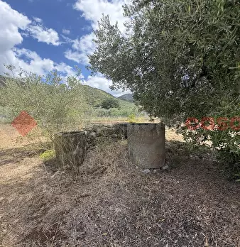 Foto annuncio 23