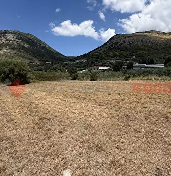 Foto annuncio 22