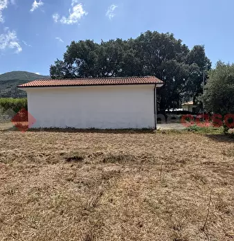 Foto annuncio 21