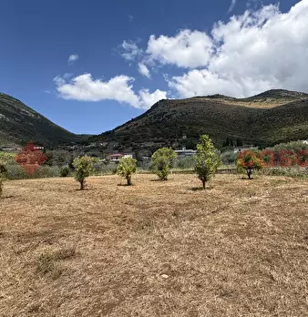 Foto annuncio 20
