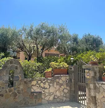 Foto annuncio 7