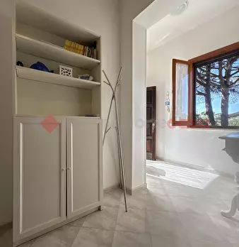 Foto annuncio 47