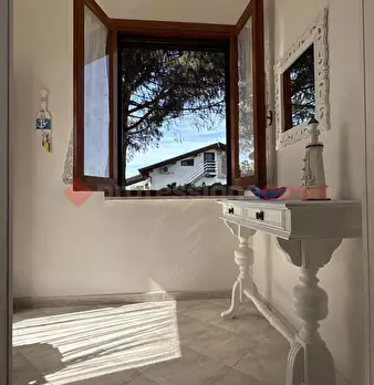 Foto annuncio 44