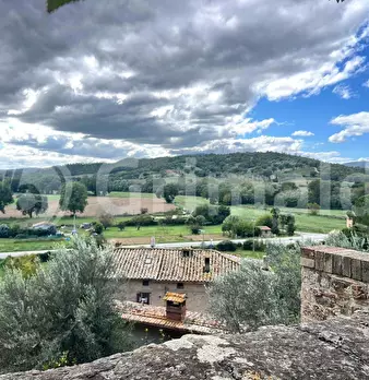 Foto annuncio 38