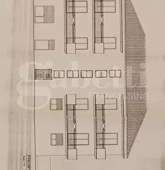 Foto annuncio 19