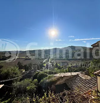 Foto annuncio 18